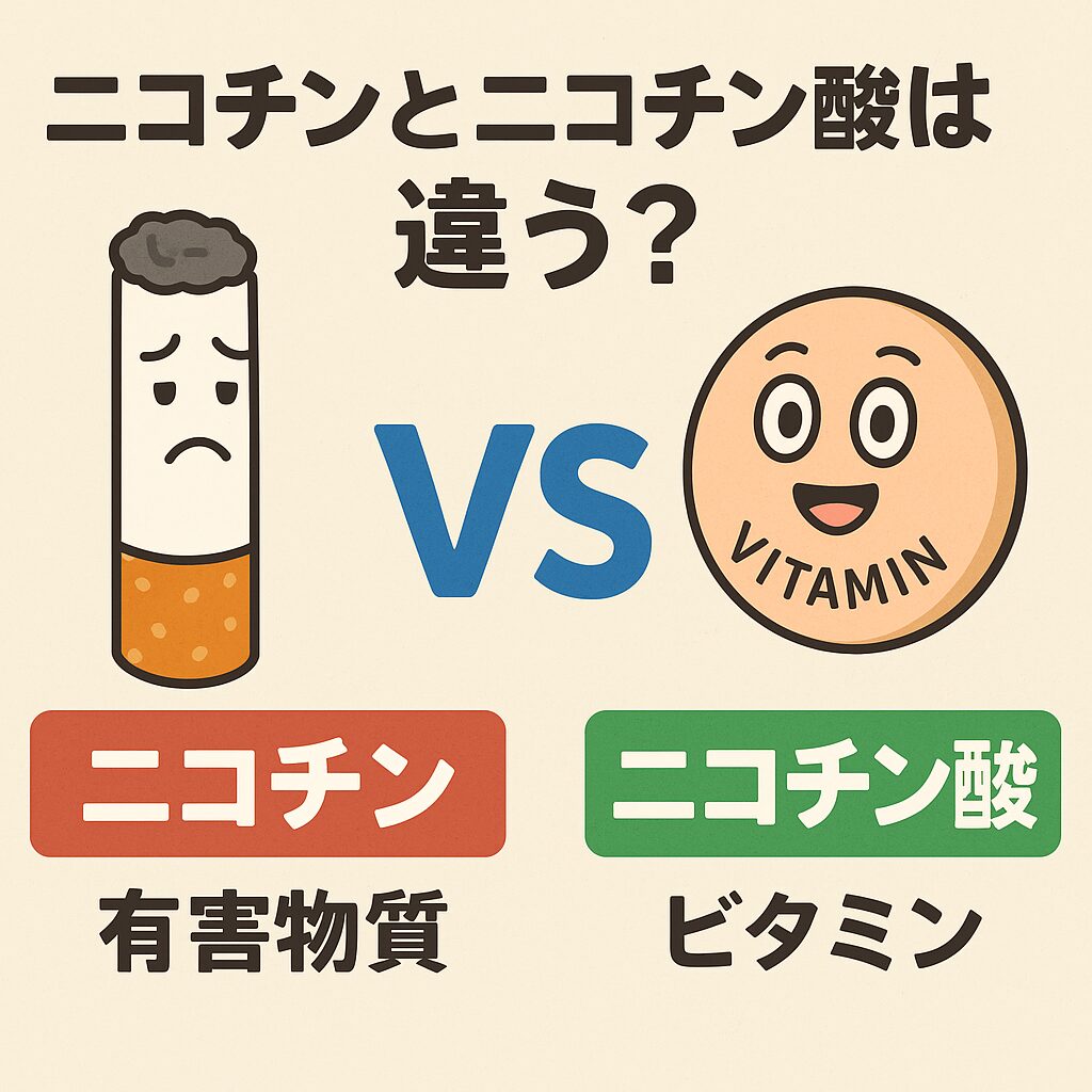 ニコチンとニコチン酸は違う? | くすりの勉強 -薬剤師のブログ-