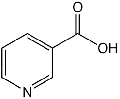 ニコチンは体に悪い? | くすりの勉強 -薬剤師のブログ-